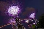 Gardens by the Bay at Night