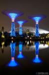 Gardens by the Bay at Night