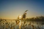 Wintersonne am Eichbaumsee