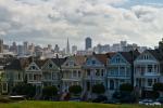 Painted Ladies