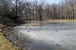 Teich im Großen Garten