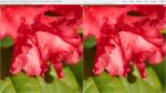 Capture One Export Qualität 0 vs. 100