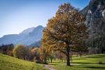 Herbst in Tirol