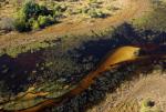 Okawango Delta