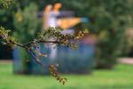 Herbst, mit Technik aus längst vergangenen Tagen im Hintergrund....