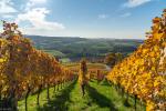 Goldener Oktober im Brettachtal