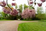 Frühling im Schlosspark