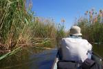 Auf ins Okawango Delta