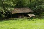 Alte Hütte im Wald *original*