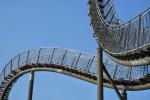 Tiger & Turtle