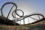 Tiger & Turtle