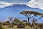 Amboseli