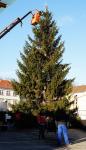 Weihnachtsbaum schon im November?