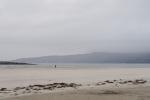 Alone. Aber nur am Strand. Jetzt mit Auslaufschutz