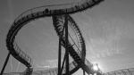 Tiger and Turtle