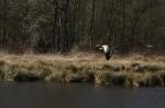 Tour um den de Wittsee oder Nex-7 mit SEL18-200