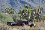 Stranded in Joshua Tree NP (wus)