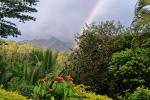 Regenbogen im Regenwald