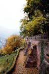 Heidelberg-Ensinor-24mm-1