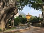 Nan Lian Garden (HK)