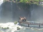 Iguazu-14