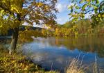 Neckar-Herbst 03