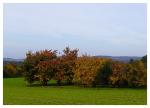 Herbstlandschaft