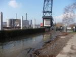 Hochwasser am Rhein