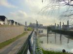 Hochwasser am Rhein