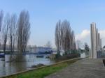 Hochwasser am Rhein