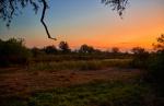 Makutsi Voortrekkers