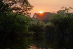 Amazon Turtle lodge Landschaft