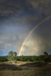 Regenbogen in der Heide