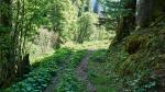 Füssen - OGau Waldweg