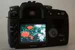 Sony a 100 Rückansicht