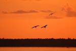 Landeanflug ins Abendrot