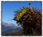 Herbstwanderung