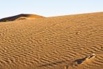 Coral Pink Sand Dunes4