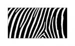 Zebra 183800