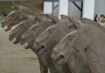 Kriegspferde,  über 2000 Jahre alt