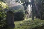 Friedhof Sahnsdorf 2