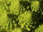 Romanesco Crop Zentrum f11 Stativ mit MPAM Filter, größerer Abstand