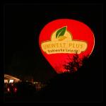 15th Balloonfiesta (2)