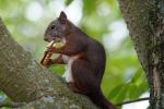 2019-07-14 14-16-43 Tierpark.JPG