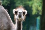 2019-07-14 17-17-50 Tierpark.JPG