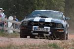 Mustang im Staub