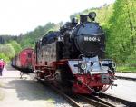 99 6001-4 Beim Rangieren in Alexisbad