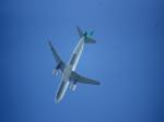 Air Lingus