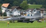 Eine Gripen in der idyllischen Schweiz