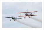 Wingwalker (9)